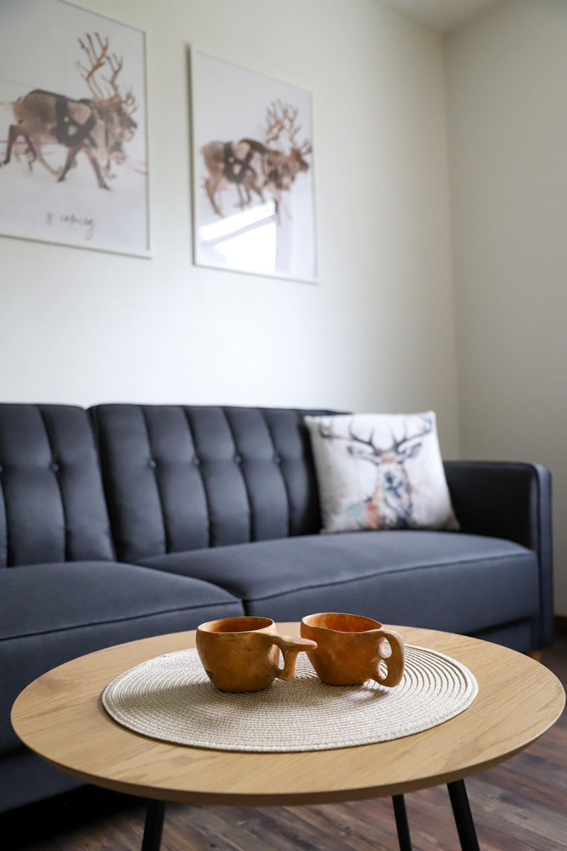 Lyhytvuokrauskohteen siisti sisustus